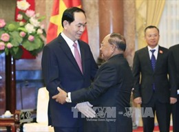 Chủ tịch nước Trần Đại Quang tiếp Chủ tịch Quốc hội Campuchia Samdech Heng Samrin 